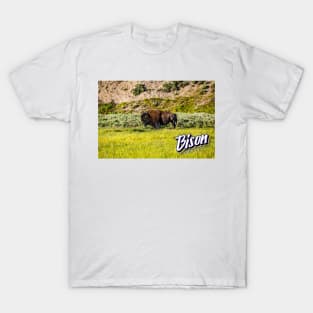 Bison at Yellowstone T-Shirt